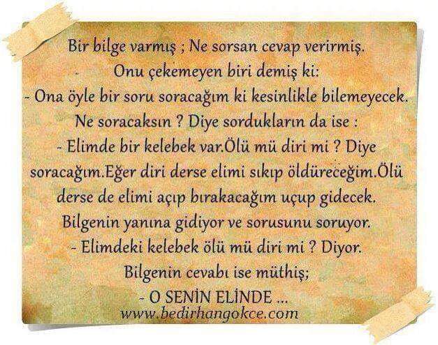 etairan's tweet photo. #Sen #olsan #kelebeği @eline #alırmısın #dedi #almam #dedim https://t.co/RQl6oOujQ2