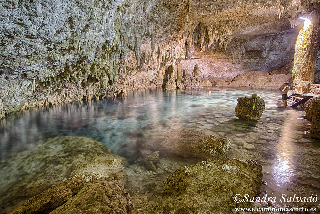 Caminomascorto's tweet photo. Choo Há, una belleza en Cobá 💙🏊♀️ Ideal para ir con niños por el nivel del agua.
Precios y horarios 👉https://t.co/UTWhZaKOg9
#cenotesquintanaroo #cenotes #cenotesmexico #cenoteando #chooha https://t.co/CXlgzqwZy0