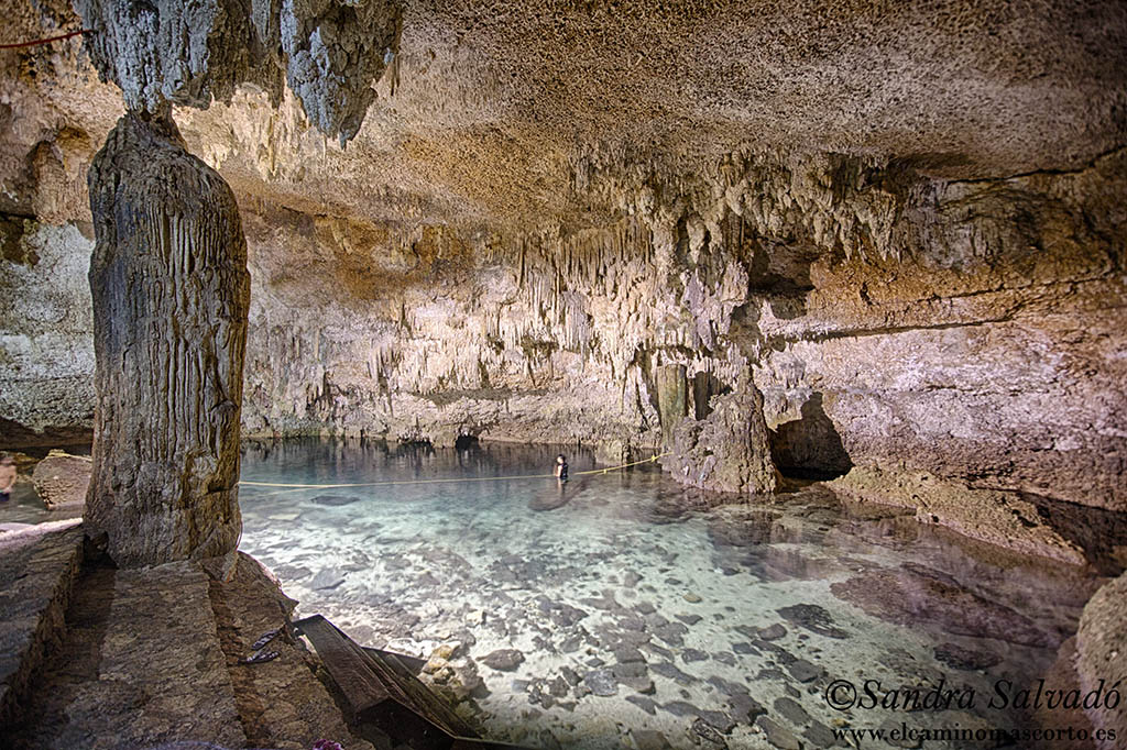 Caminomascorto's tweet photo. Choo Há, una belleza en Cobá 💙🏊♀️ Ideal para ir con niños por el nivel del agua.
Precios y horarios 👉https://t.co/UTWhZaKOg9
#cenotesquintanaroo #cenotes #cenotesmexico #cenoteando #chooha https://t.co/CXlgzqwZy0