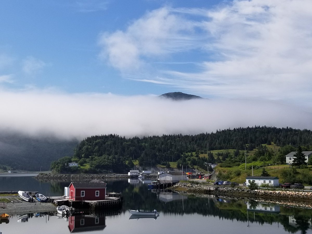 KristaRecruits's tweet photo. View from the "home office" today. #newfoundland https://t.co/7ZCnT2iHiL