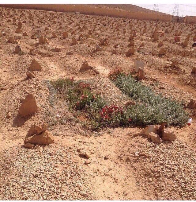 fahad33931's tweet photo. يالله ياللي تنبت العشب برشاش
تجعل  لنا  عندك   حبالٍ   قويه
-
ليلة  نودا  حفرة  القبر  فنعاش
ما  عندي   ألا  ما  تقدم   يديه
-
عماش بن هطامل https://t.co/eoO5plTvhs