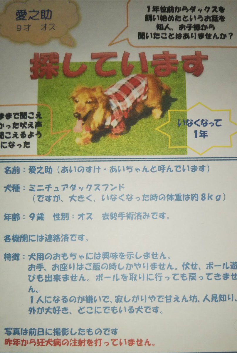 ナマケモノ 迷子犬 ミニチュアダックス 沼津市 拾い犬 先月の半ばから体調を壊し とうとう先週から家に引きこもっています １日だけ退職願を出しに行きました 全てを終わらせたいです 今日は体は辛かったけど 愛之助の夢をたくさん見られて幸せ