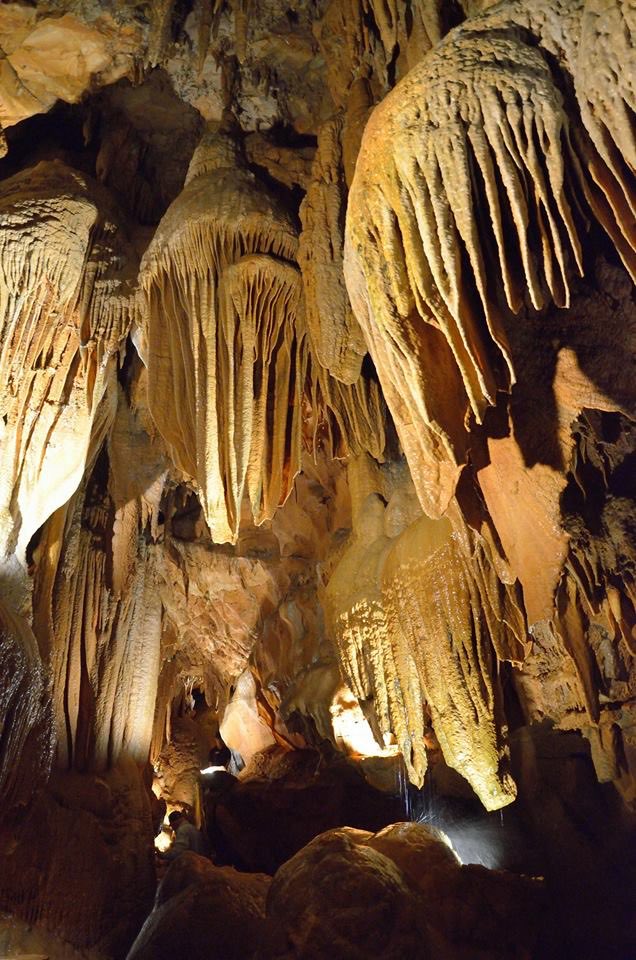 Happy Birthday to Diamond Caverns!!🎂🎉
Discovered on this date in 1859.
@diamondcaverns