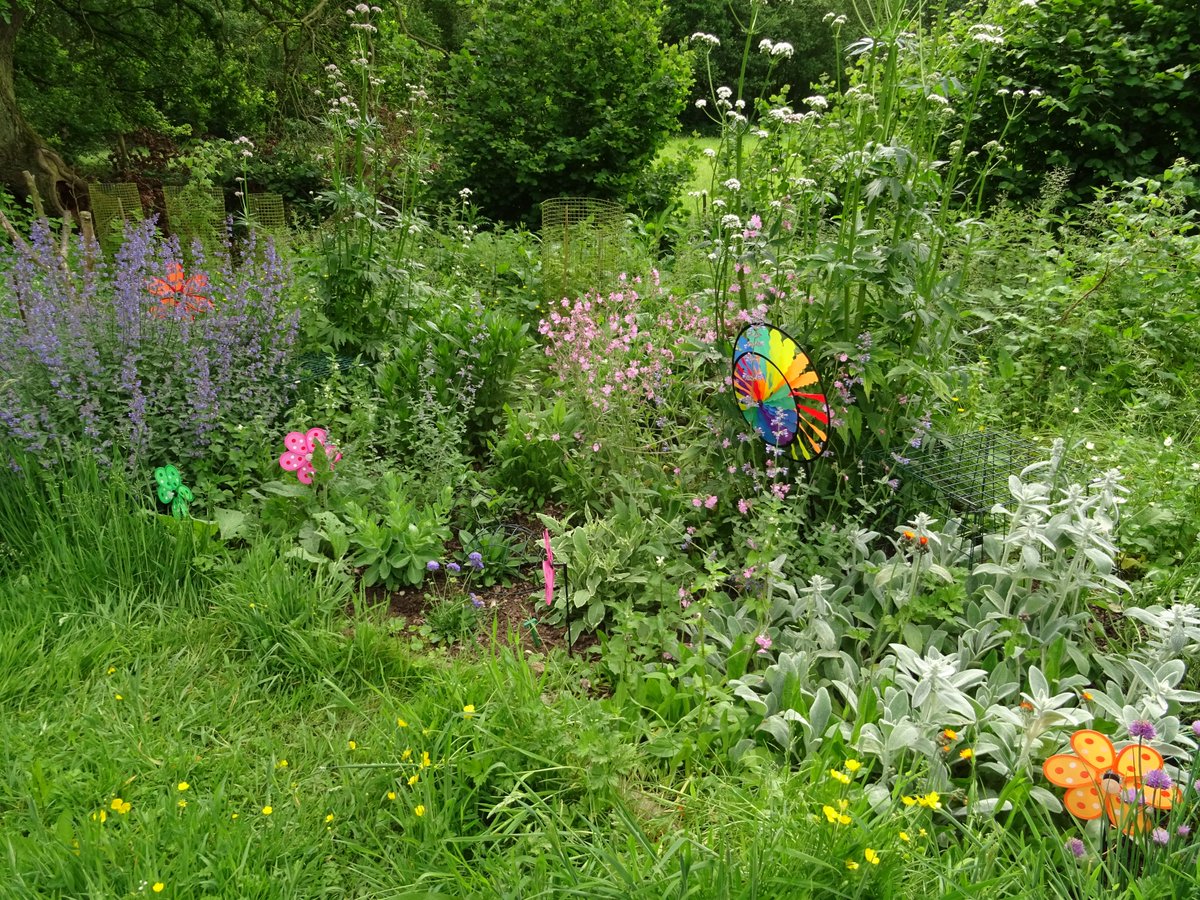 BuzzingCoast's tweet photo. Action 1 for #BeeNeeds: Grow more flowers, shrubs & trees
Our gardens & green spaces need more pollen & nectar-rich plants all year round to feed pollinators.
Use @BumblebeeTrust's Bee Kind tool to find the best bee-friendly plants for your garden ππ»: https://t.co/uY0dOheP7I https://t.co/fRi5bs5gEq