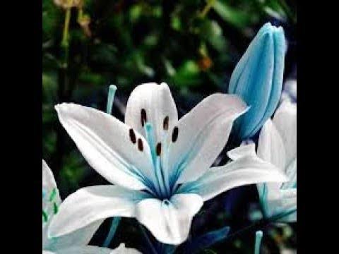 Kraliçe 🇹🇷🇮🇶♔☀ tweet media