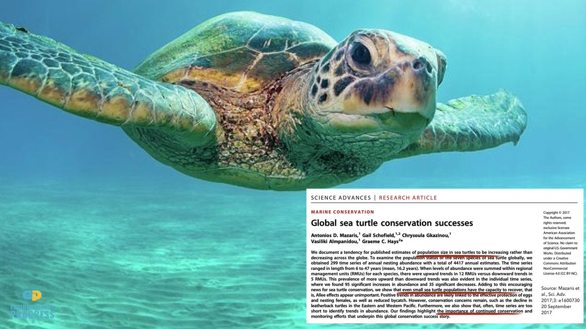 Plastic provided an alternative to "bio-plastics" made from sea turtle shells (e.g. "tortoise shell glasses) & elephant tusks And we should celebrate fact that population size of sea turtles is increasing, showing "even small sea turtle populations have the capacity to recover"