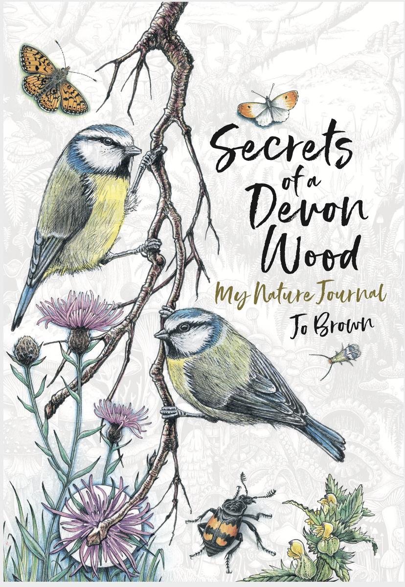 bernoid's tweet photo. FINALLY - you will soon be able to get your hands on a copy of my #naturejournal

It’s going to be a fancy hardback, check out the final cover art.

Now available to pre-order… Yay! 

https://t.co/ladehqFd1b

#devon #devonhour #devonwildlife #illustration #dartmoor #wildlife https://t.co/J4DexvP770