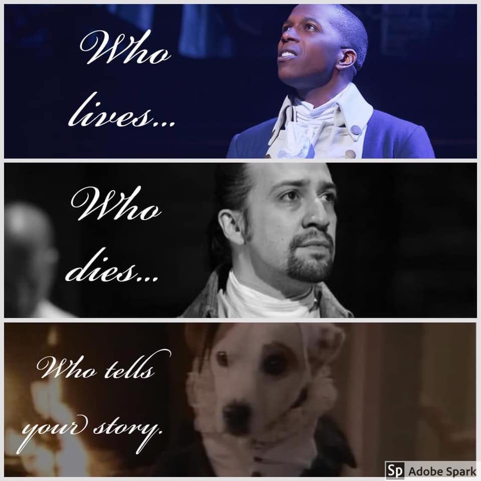 AsAnAdultPod's tweet photo. The most on-brand mash up for us, #Hamilton PLUS #wishbone🐾 - does it get better!? https://t.co/m4E4Z3IARp