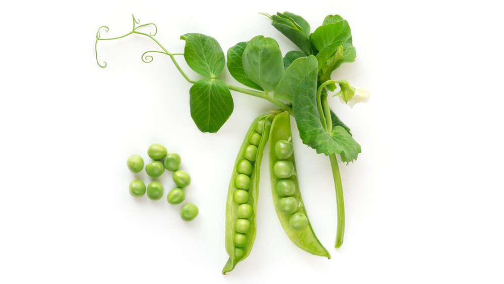 FactyHealth's tweet photo. Proteins are one-third of the holy trinity of macronutrients. While we know meats contain protein, we often forget vegetables can be a good, low-calorie source of this essential element too.
https://t.co/mOi03udd90 https://t.co/Dey0HbWd6L