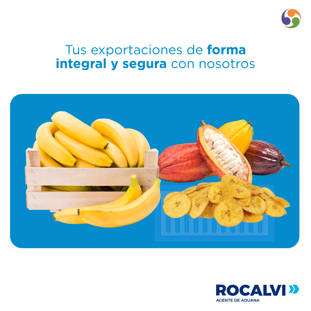 RocalviSA's tweet photo. Brindamos soluciones integrales en tus proceso de exportación.  #FletesInternacionales #TrámitesAduaneros #Transporte
#GrupoCalderón #ComercioExterior #ImportaciónyExportación
Contáctanos: ventas.servicios@rocalvi.com  - 0993920000 https://t.co/ovP45JLlKy