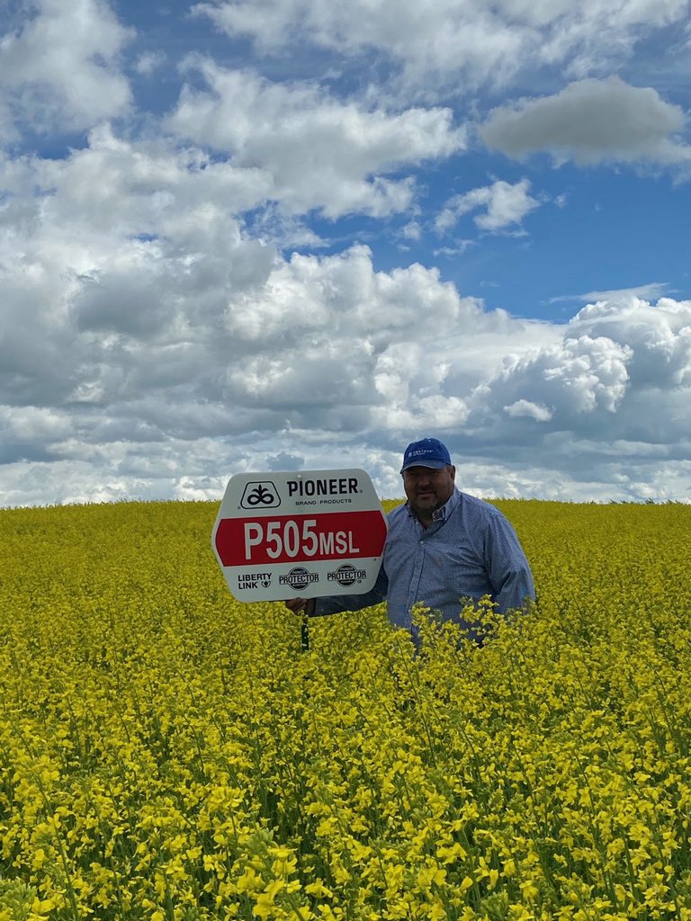 andrashewskiD's tweet photo. I couldn’t wait to share with you this new upcoming variety of #P505MSL  for #plant2021 from @PioneerSeedsCA https://t.co/NBCJonyhNs