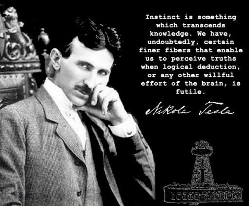 hackerbot (@thehackerb0t) on Twitter photo 