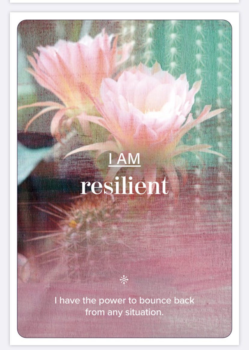 Courtney Wren tweet media