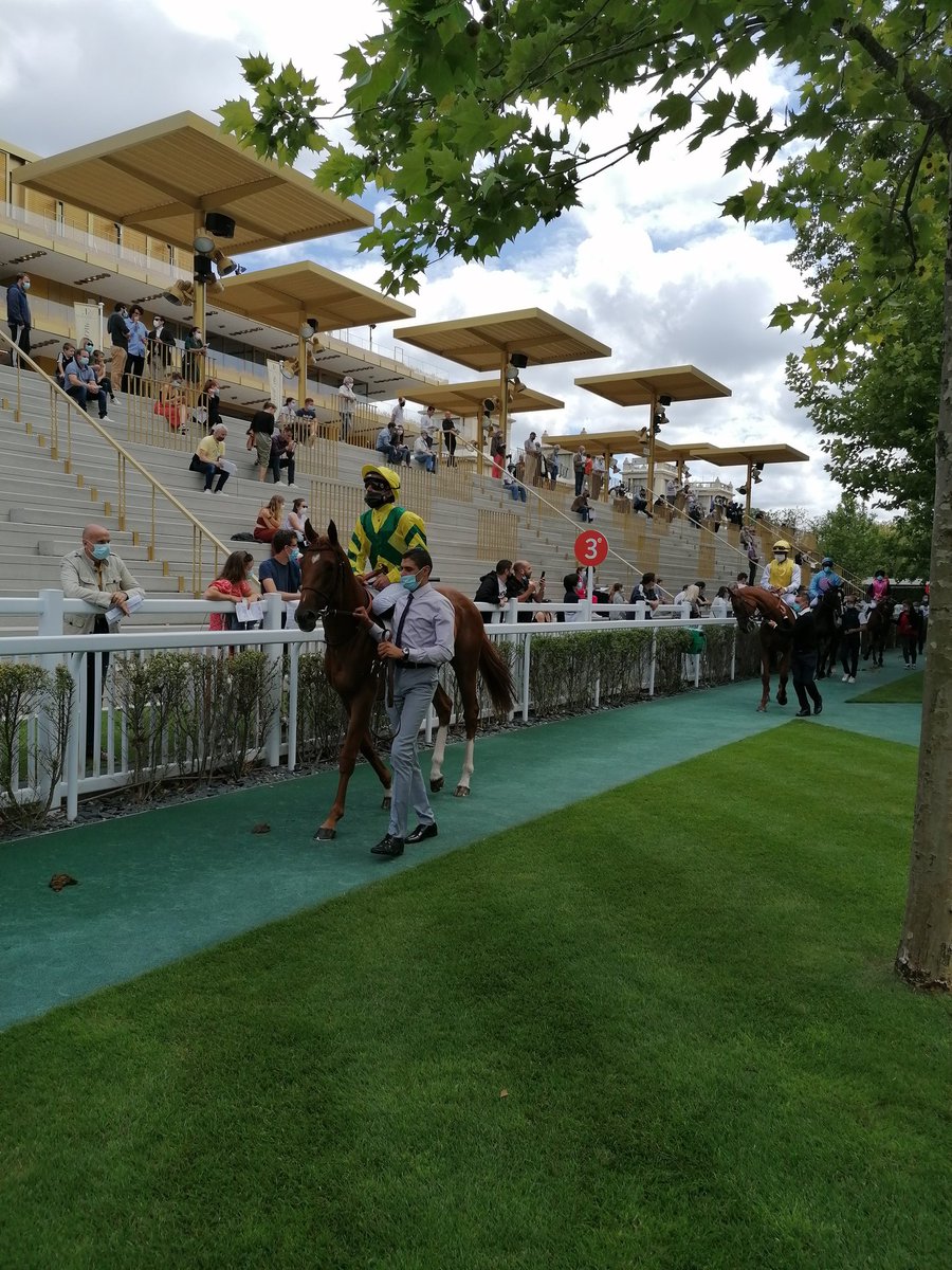 EliottPerrotel's tweet photo. Très heureux d'être revenu à @paris_longchamp, 8 mois après la fermeture de la saison !
Une belle journée de courses avec le plaisir de revoir les équipes de @francegalop et du #GTHP.
@courses_jeunes #hippique
#14juillet https://t.co/LVkUqBCefj