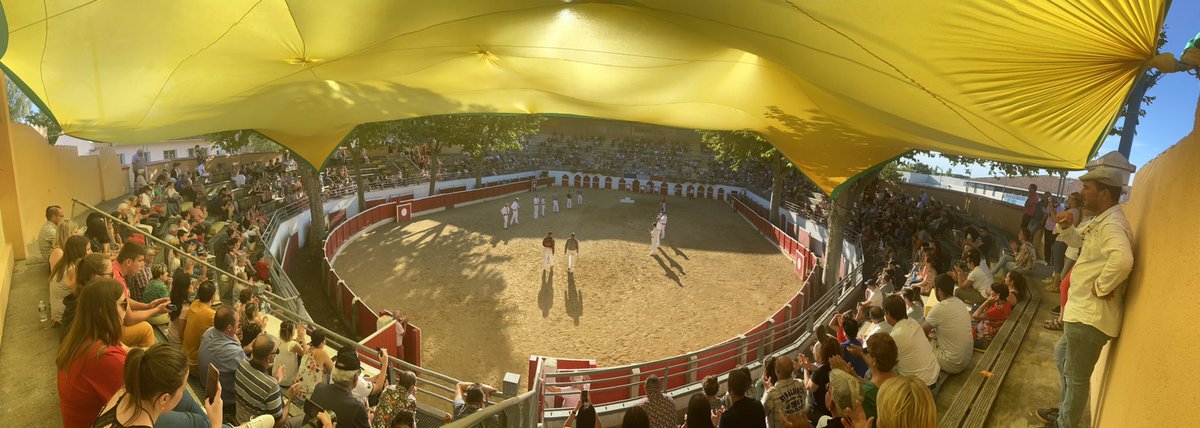 La Course Landaise se réinvente. Protocole sanitaire, geste barrière! 

<a href="/TierrasTaurinas/">Tierras Taurinas</a> <a href="/CultureTaurine/">Observatoire National des Cultures Taurines</a>
