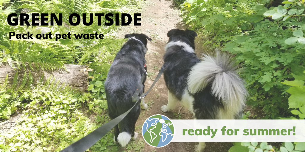 ecyspokane's tweet photo. Hiking with hounds this summer? Pack out the poo & keep harmful bacteria out of our water. Rain carries dog💩runoff into storm drains, ditches & streams that feed rivers, lakes & marine waters. More: https://t.co/R9Dh2AnoIJ
#LeaveNoTrace #WASummer https://t.co/hhxwwPd9nc