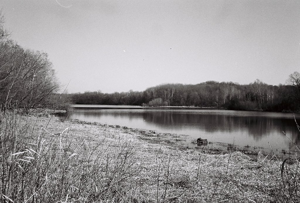 ohnomylenz's tweet photo. Family walks with a 35mm point and shoot https://t.co/gGglwHoWzp