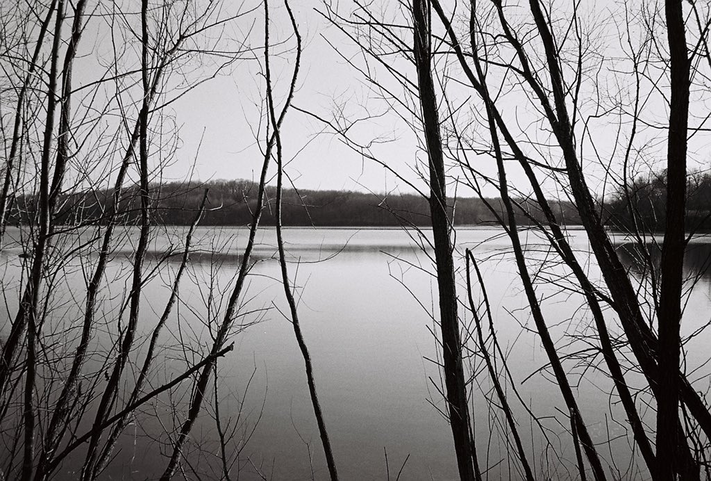 ohnomylenz's tweet photo. Family walks with a 35mm point and shoot https://t.co/gGglwHoWzp
