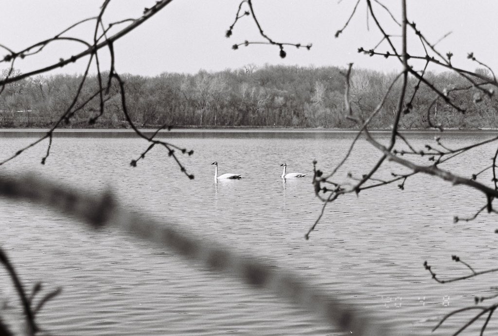 ohnomylenz's tweet photo. Family walks with a 35mm point and shoot https://t.co/gGglwHoWzp