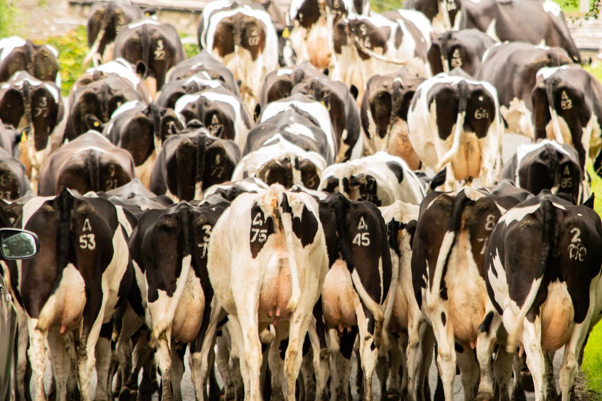 Low Mill Guest House tweet media