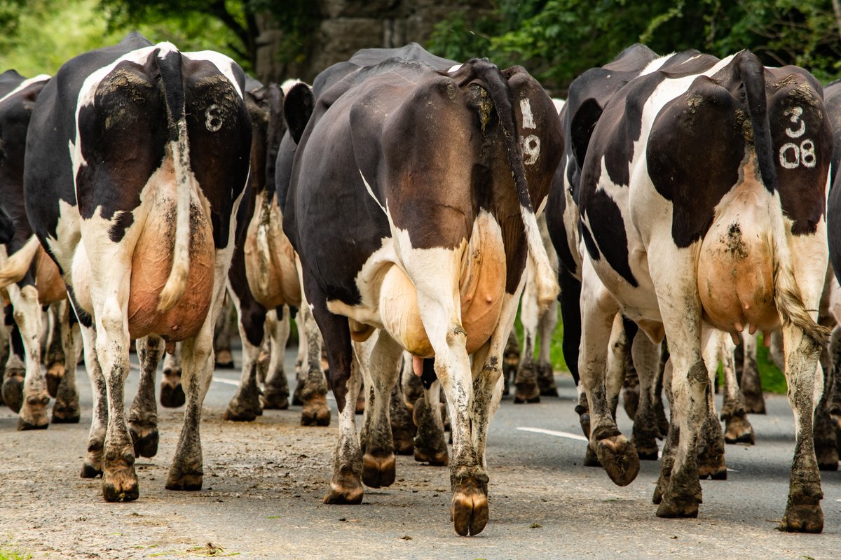 Low Mill Guest House tweet media