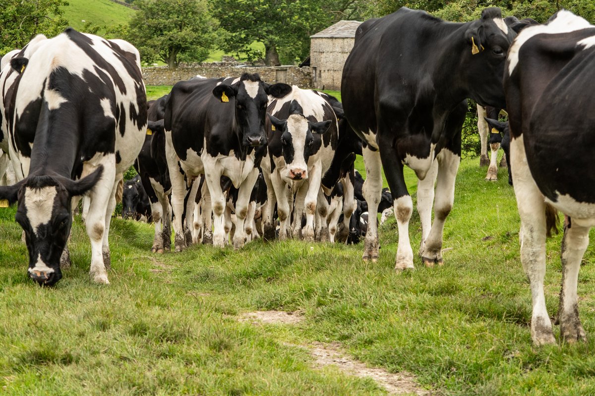 Low Mill Guest House tweet media