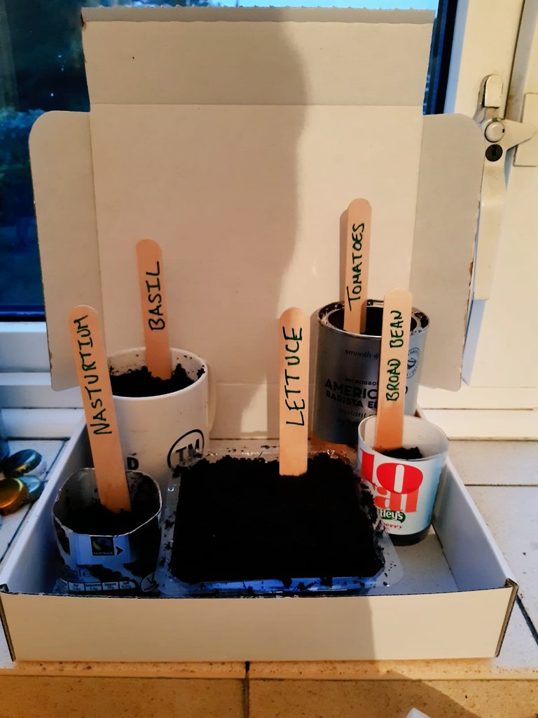 My Summer Salad Kit arrived yesterday- now all set up! Hoping for some shoots by the end of the week  #GetSetSow <a href="/ThamesmeadLDN/">ThamesmeadNow</a> <a href="/GroundworkLON/">Groundwork London</a> <a href="/CLEVER_Cities/">CLEVER Cities</a>