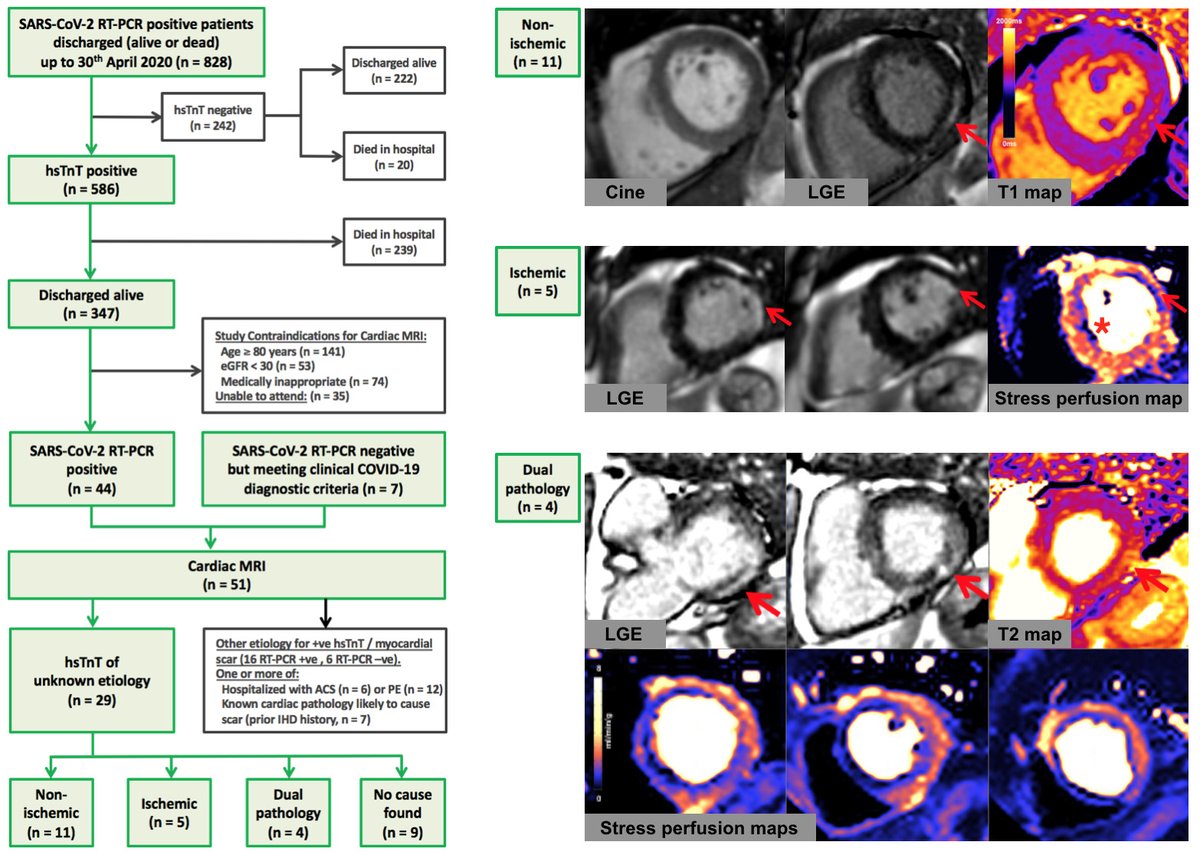Circulation tweet media