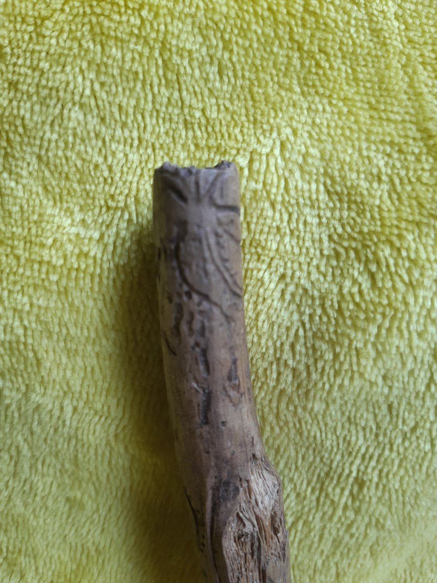 Motezzz's tweet photo. @museumnaturalis @staatsbosbeheer @LeidenBiology Mijn dochter vond dit stokje vanmiddag in de duinen. Hoe komen die prachtige tekeningen erin, vragen wij ons af. Helpen jullie ons aan het antwoord? https://t.co/wxGLaWIO6u