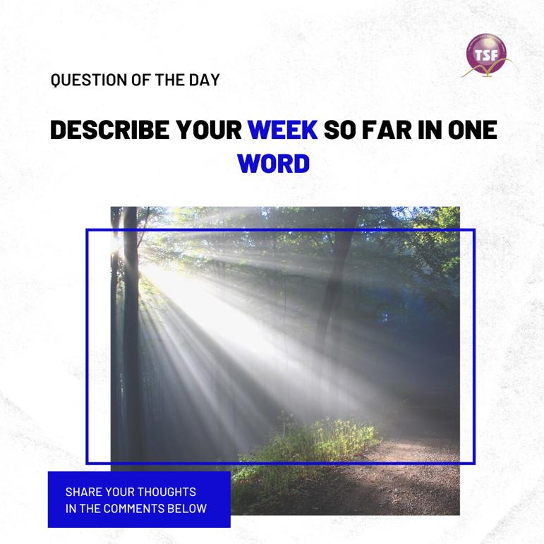 tsfchurchint's tweet photo. FANTABULOUS! How about you?
#QuestionOfTheDay #TSFCommunity https://t.co/Lvpses0AWw