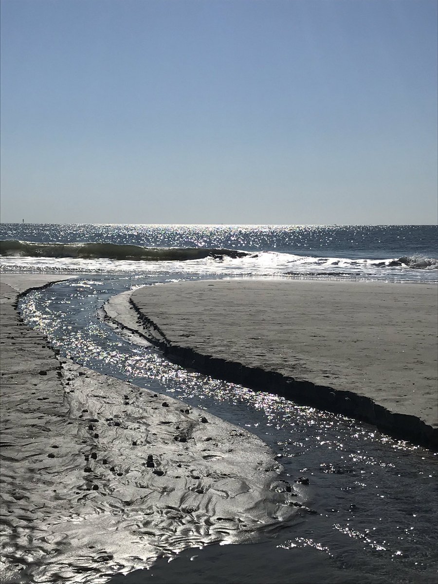 susbry97's tweet photo. Morning beach walk. This is why I live here. https://t.co/AoVLnQxtpe