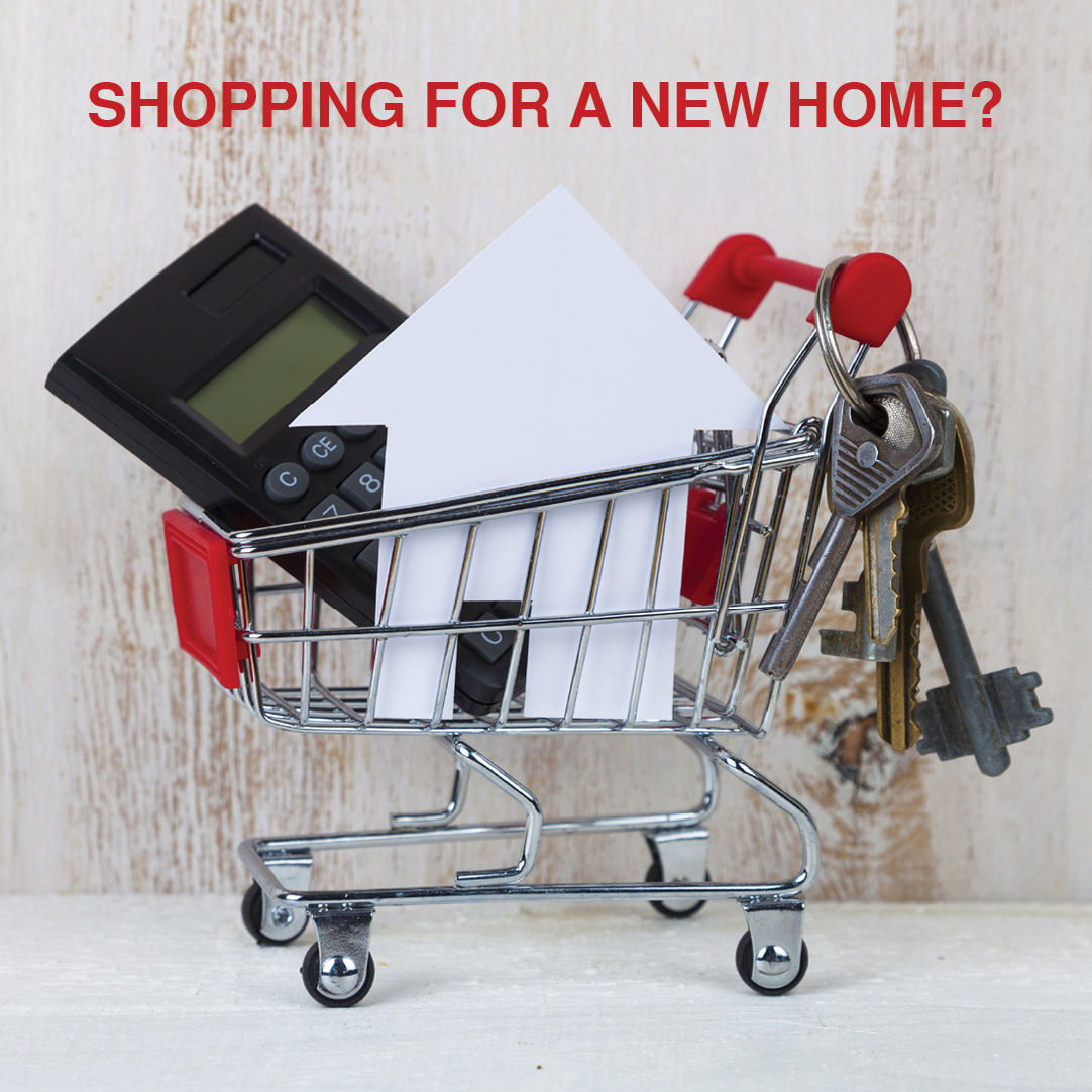 ReginaRegionHBA's tweet photo. In the market for a newly built home, the RRHBA New Home Locator offers a variety of homes in Regina and area. 

https://t.co/Y2hf5b3tZz https://t.co/wZ6qXRidSd
