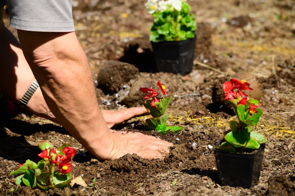 We are looking to hire a gardener! View the job announcement at: usajobs.gov/GetJob/ViewDet…

The announcement closes on July 23.

[image: 2019 Parterre Planting at Hampton/ Tim Ervin]