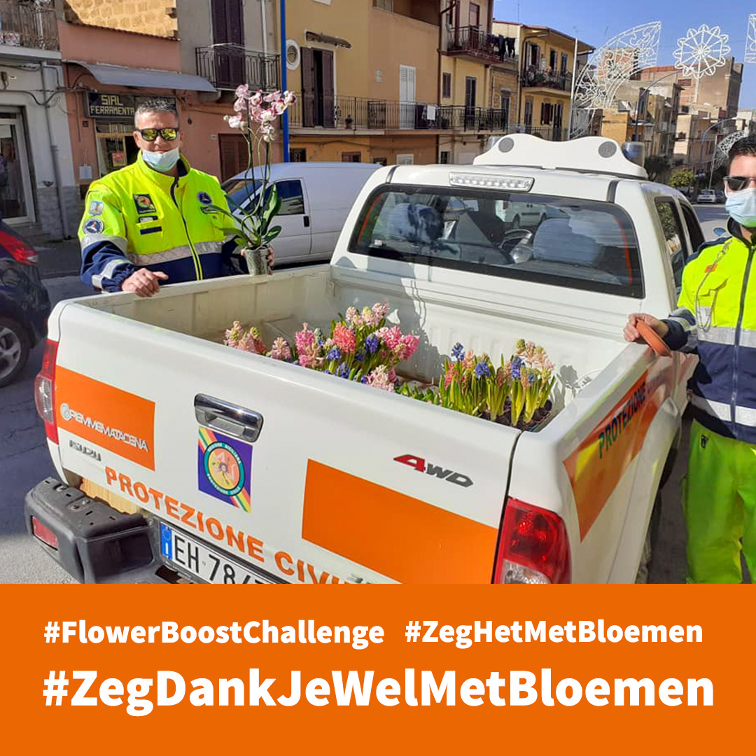 ChrysalNL's tweet image. Heb jij ook al iemand blij gemaakt?

#ZegHetMetBloemen #ZegDankJeWelMetBloemen #FlowerBoostChallenge