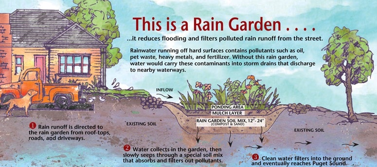 lakefriendly's tweet photo. Have you heard of rain gardens? 

Rain gardens are an attractive and effective way to keep pollutants out of our storm drains and waterways. 

Credits: https://t.co/obb4ugen2d | https://t.co/T7KYG26iBz

@MBGardener 

#raingarden #garden #manitobagarden #sustainability #water https://t.co/rux69KHbGB