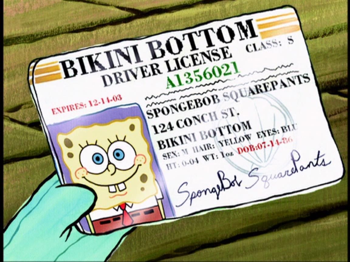 UberFacts's tweet photo. According to his driver's license, today is SpongeBob's 34th birthday! https://t.co/IiXMqYopRB