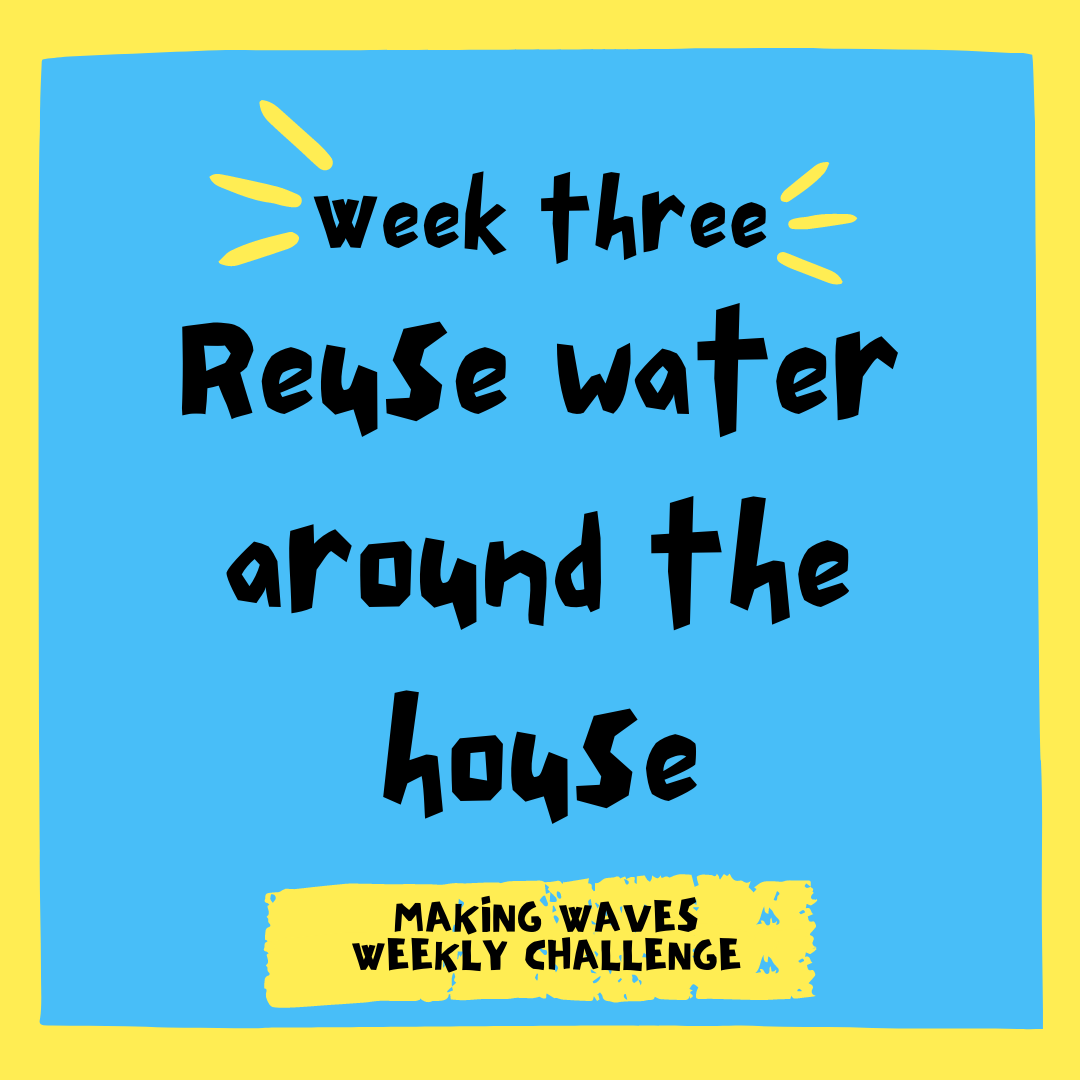 This week, #MakingWavesGVSU challenges you to reuse water before sending it down the drain! Maybe you'll use your cooled down cooking water for your plants or start looking into a greywater collection system...you'll see the water you use every day in a new way.