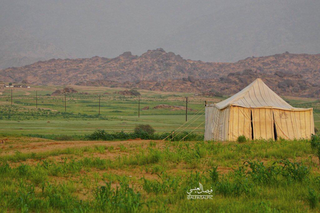 as7h1's tweet photo. حسابات مميزة 
تستحق الدعم والمتابعة 🌹

@I993l

@tangoo3

@jwuxg4t9

@BahkaliEng

@abugaze656

@saauud7888

@khalid880088

@asdzahran999

@almushawweh

@Abogadahhotmai2

@mohsenmater1980
#ابن_حماد_للدعم_والرتويت https://t.co/7zPM06QKFc