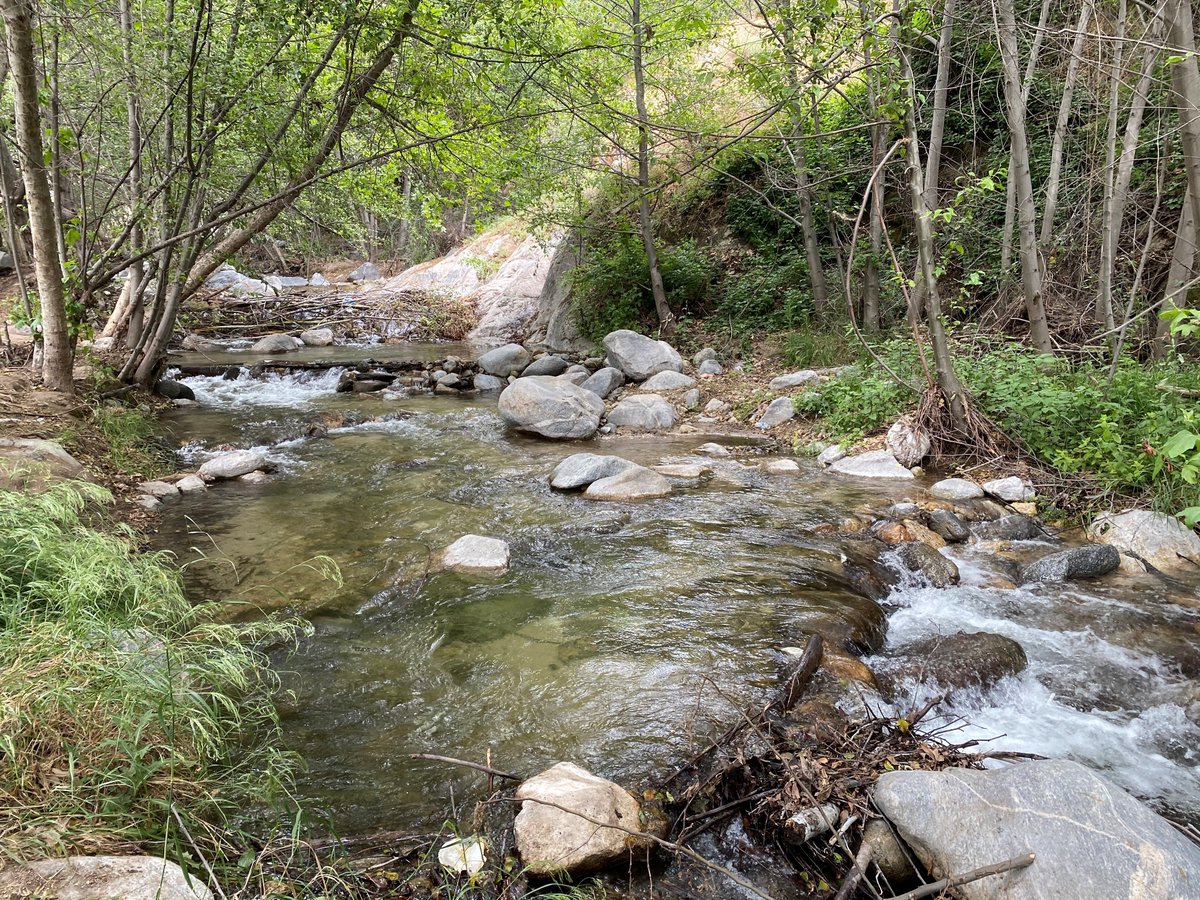 HealTheBay's tweet photo. Some of our findings: 

💧 Fresh water quality in LA County has improved since 2018 

💧 Sites in natural, undeveloped areas have better water quality 

💧 To fight water pollution, we need nature-based solutions 

(3/3) https://t.co/V4YQkLpI8U