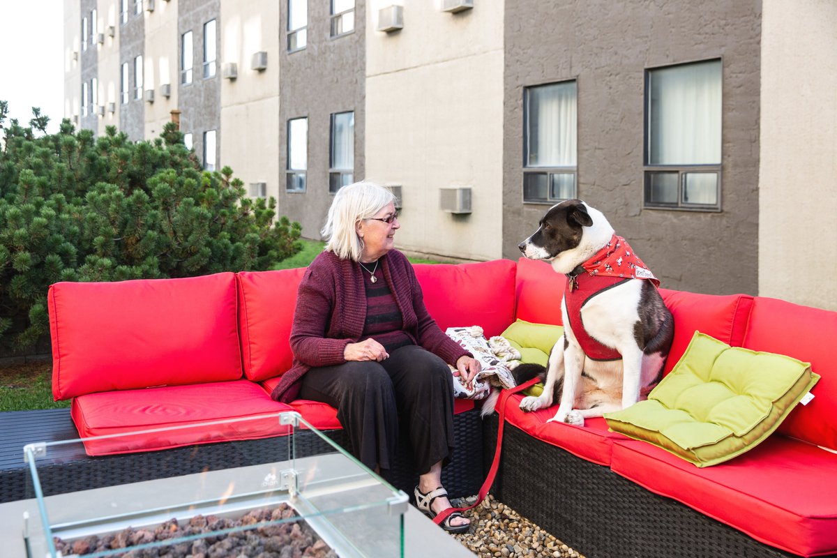 TLEdmontonWest's tweet photo. Did you know we have a pet park? Built just for your furry friends.  Traveling to or through Edmonton? We are the best value in West Edmonton! (Okay that last photo is of our fire pit area - dogs not really allowed there😉)
https://t.co/SMvXkHsUIi https://t.co/KTQ2sY6ZHA