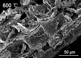 BioResJournal's tweet photo. #Structural evolution mechanisms of #biochar from #solidstate #fermentation residues in a novel V-shaped down-tube reactor during #fastpyrolysis.
https://t.co/C9ugYfy5Bc
#BioResJournal #biomass #energy https://t.co/8DfPGn8fSM