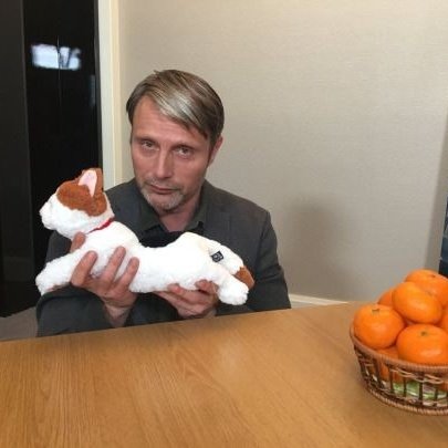 every time mads mikkelsen was a meme: a thread