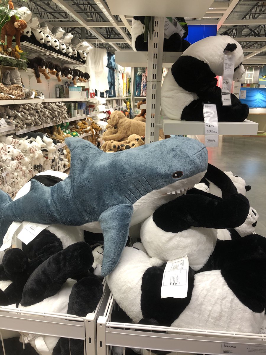 On #SharkAwarenessDay and everyday, it’s sharks over pandas for me! #SharksNearMe #ikea #sharks ⁦<a href="/jimwharton/">Jim Wharton, PhD (he/him)</a>⁩ ⁦<a href="/PpsharkPaula/">Paula Carlson</a>⁩