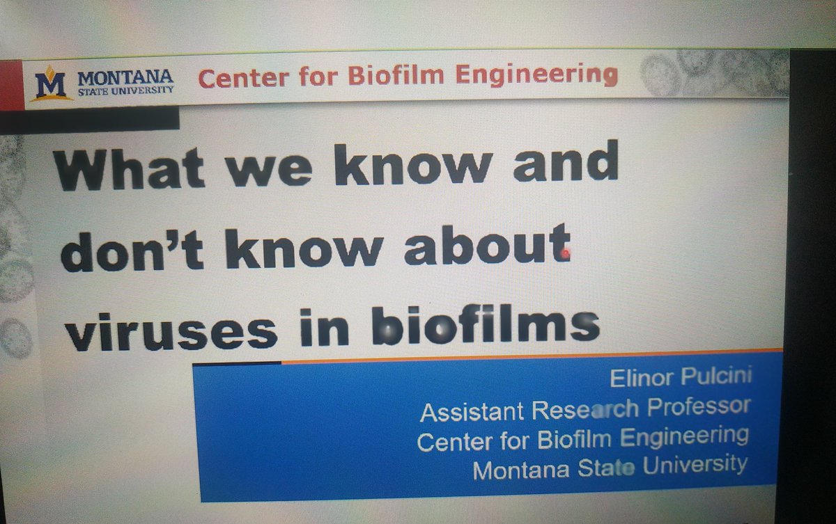 Atif_micro's tweet photo. Interesting talk: Viruses in biofilms.
#MBVM2020
#Biofilm #virus https://t.co/oHWPo73Bh5
