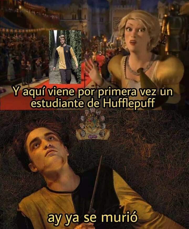 bellatrix_lec's tweet photo. Buen día mis PotterAmigos. https://t.co/rsJPeQjtQZ