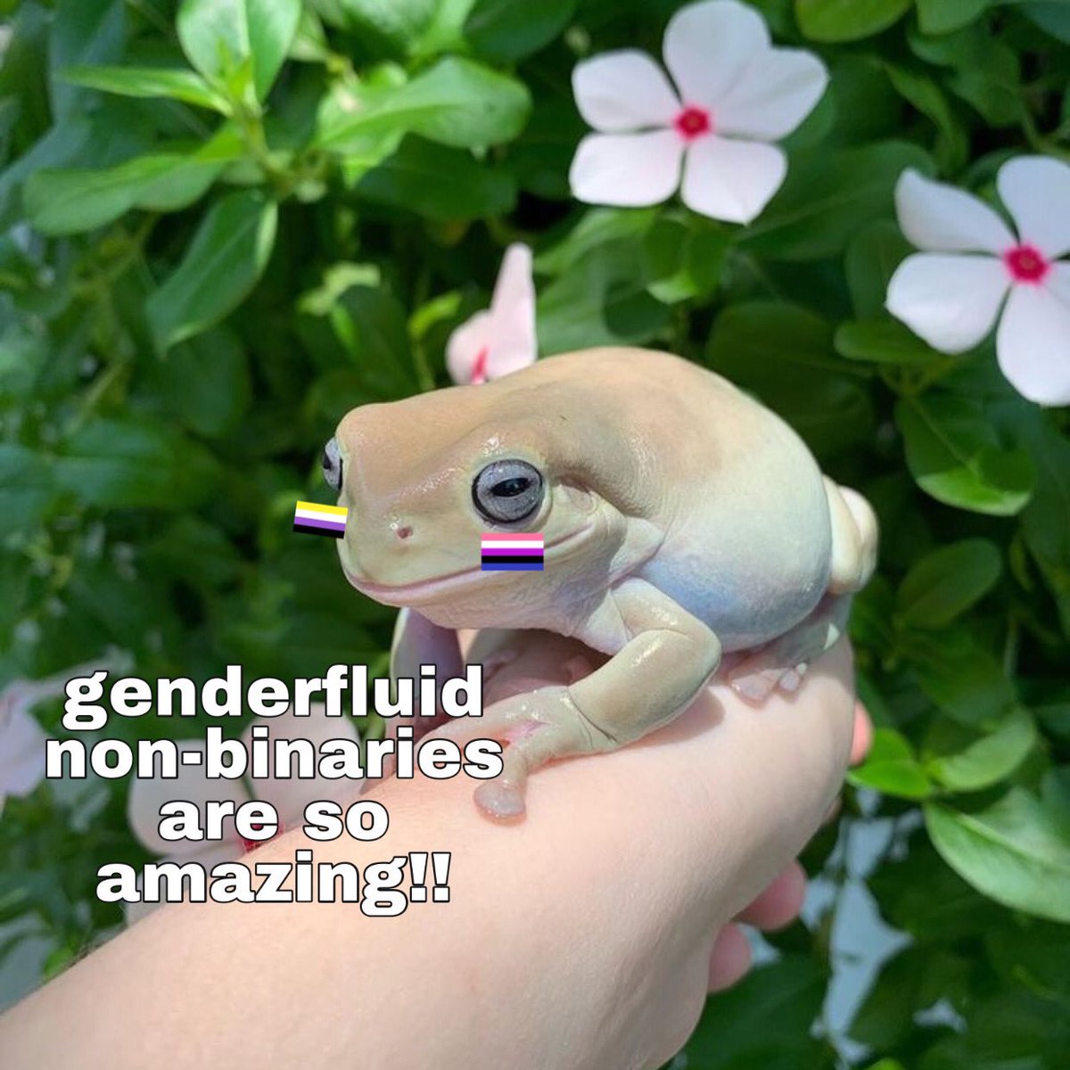 juucebx's tweet photo. #PRETTYFROG: https://t.co/G9Zh8Q0AX0