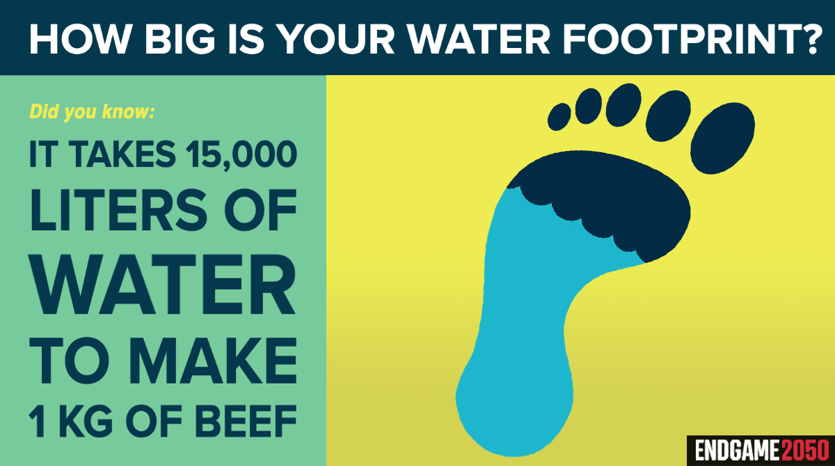 Greenwashed_Doc's tweet photo. #AnimalAgriculture has an enormous #WaterFootprint and is one of the largest sectoral sources of #WaterPollution. Per UN, it is also the largest driver of #deforestation and produces more #GreenhouseGas emissions than the entire global transportation sector. Please #GoVegan https://t.co/wuGHBWCvPg