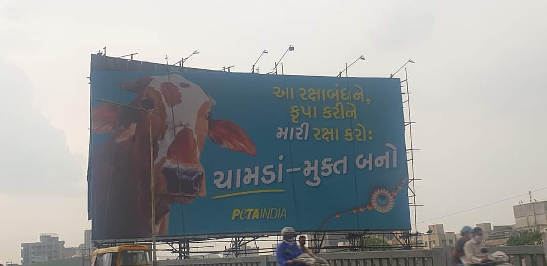 MonarkMistry's tweet photo. Dear, @PetaIndia

Show us a place or show us the Rakhi that are made of leather ...

Rakhi is made only from silk or cotton thread,
There is a conspiracy to defame Hindus.., 
This is an absurd advertisement.

Remove it immediately and practice more… #AntiHinduPeta https://t.co/yl5TDO1pvH