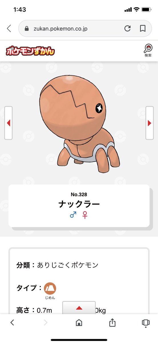 コンプリート ポケモン ナックラー 育成論