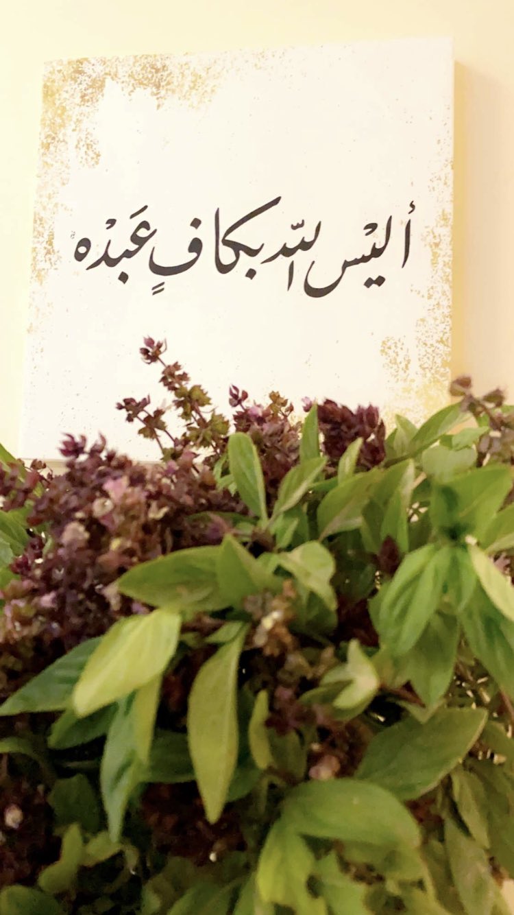 الحمد لله On Twitter لنا بالله امال وسلوى وعند الله ما خاب الرجاء